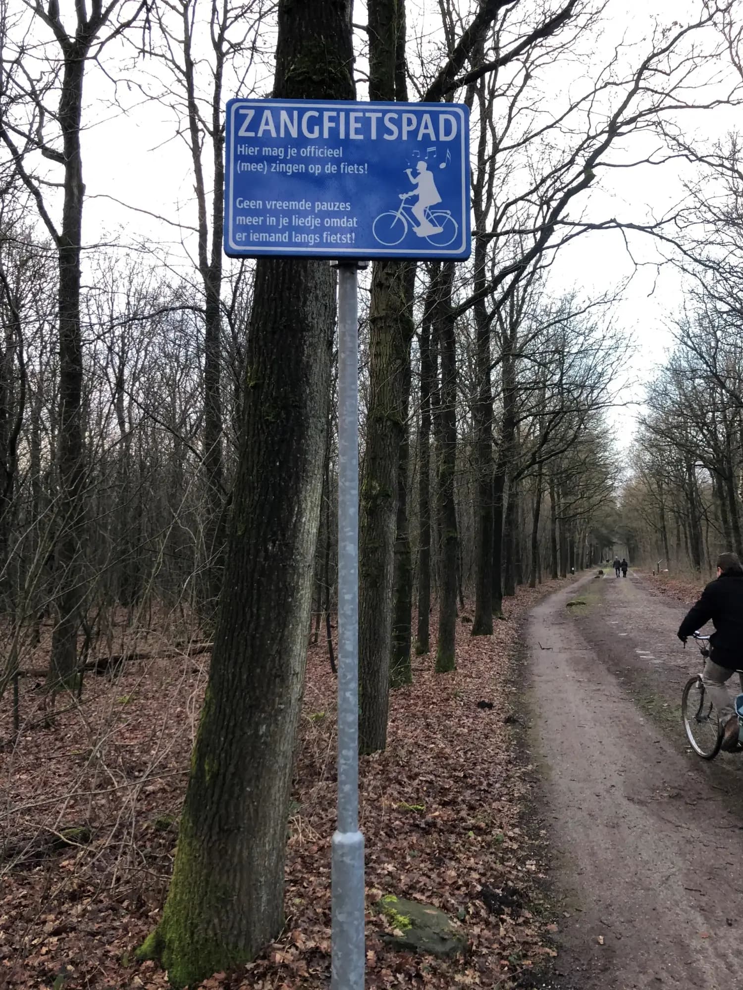 Fietspad door het Drentse landschap